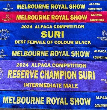 MELBOURNE ROYAL ALPACA SHOW 2024